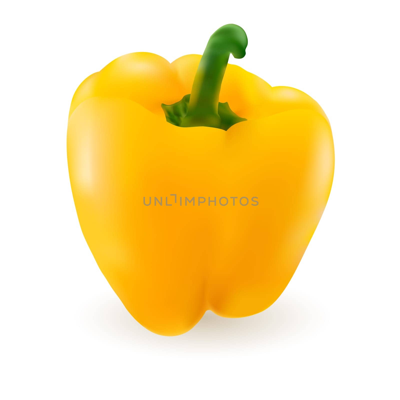 Sweet Yellow Bell Pepper. Illustration isolated on white background