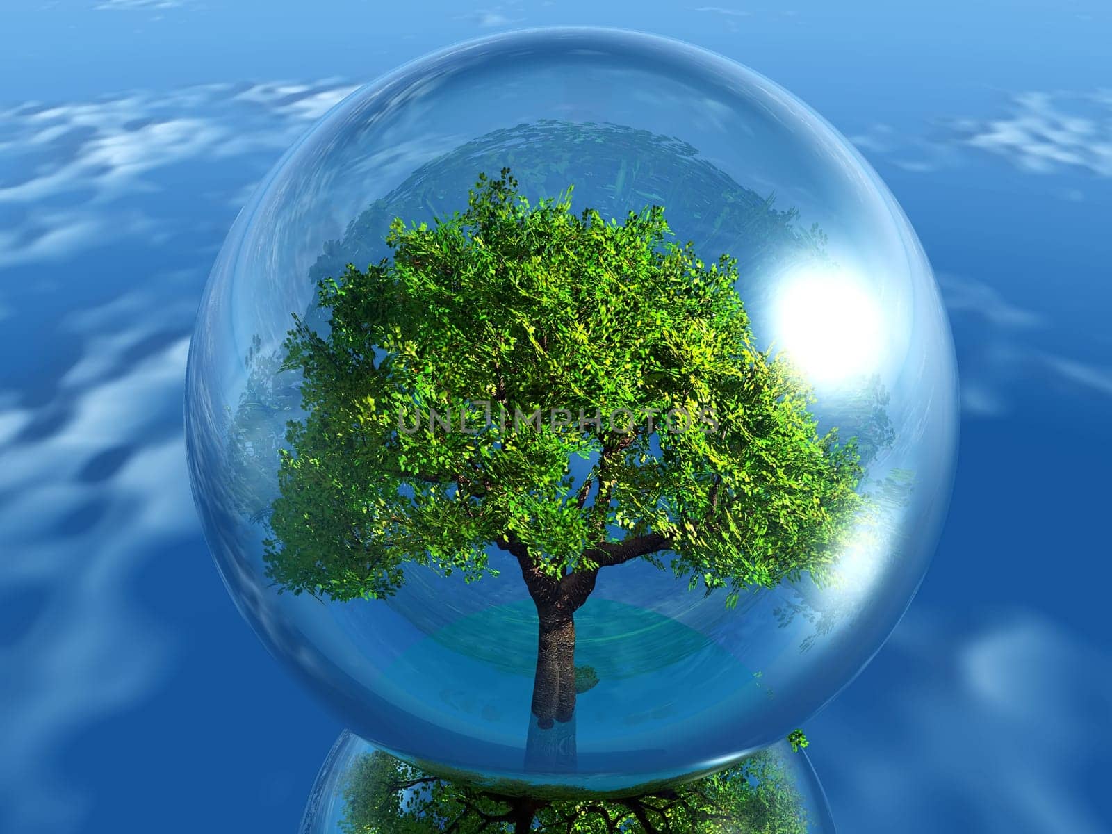green tree in a transparent bubble