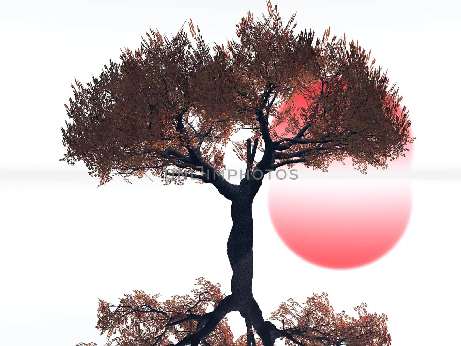 the autumn tree