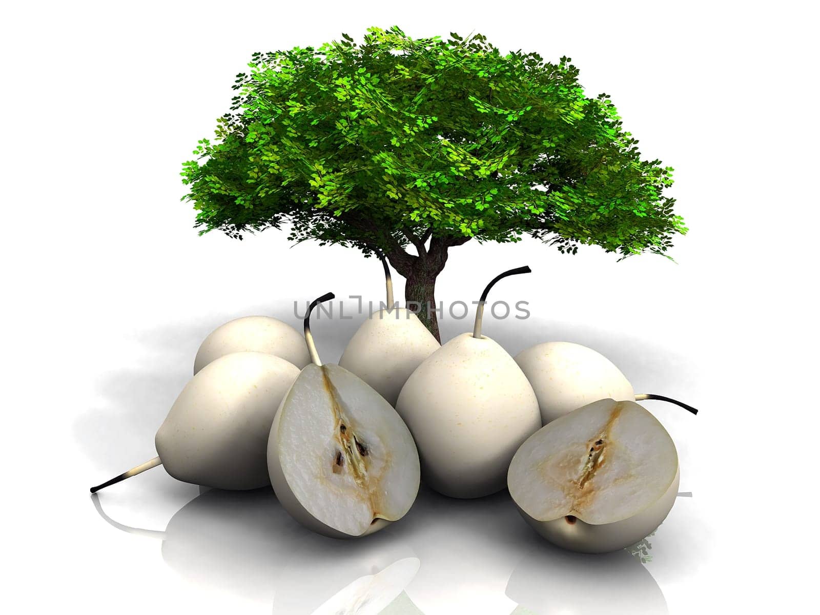 the pears