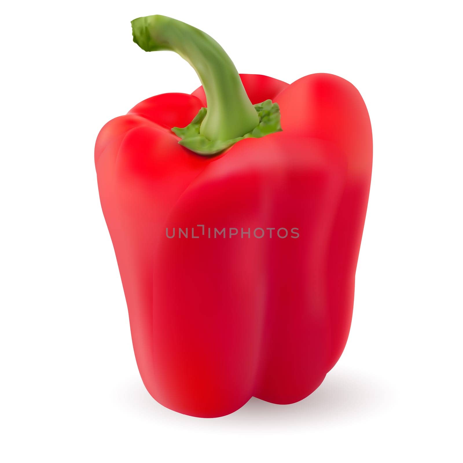 One Red pepper. Photo-realistic. Illustration on white background