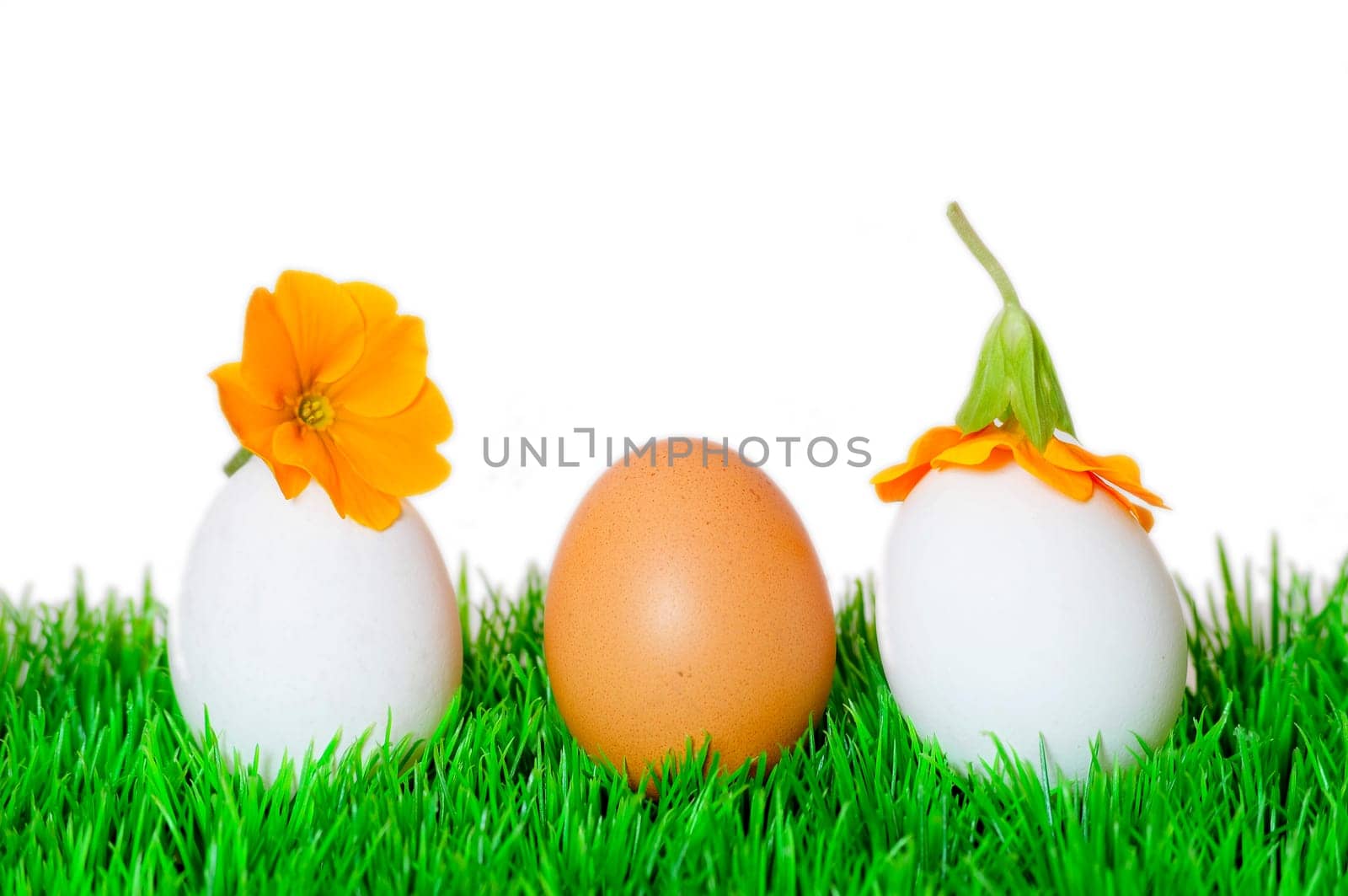 Easter Spring Meadow Eggs