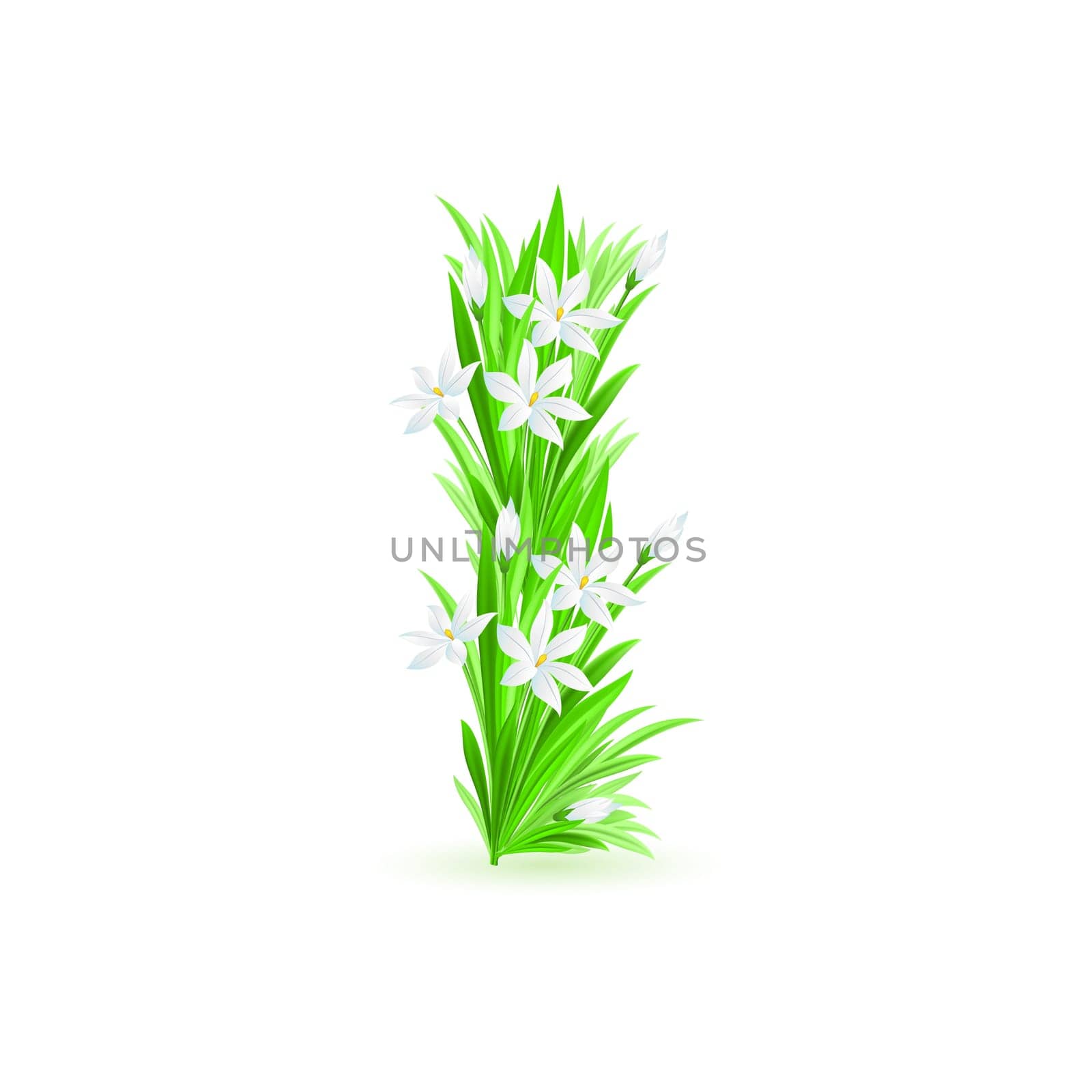 One letter of spring flowers alphabet - I. Illustration on white background