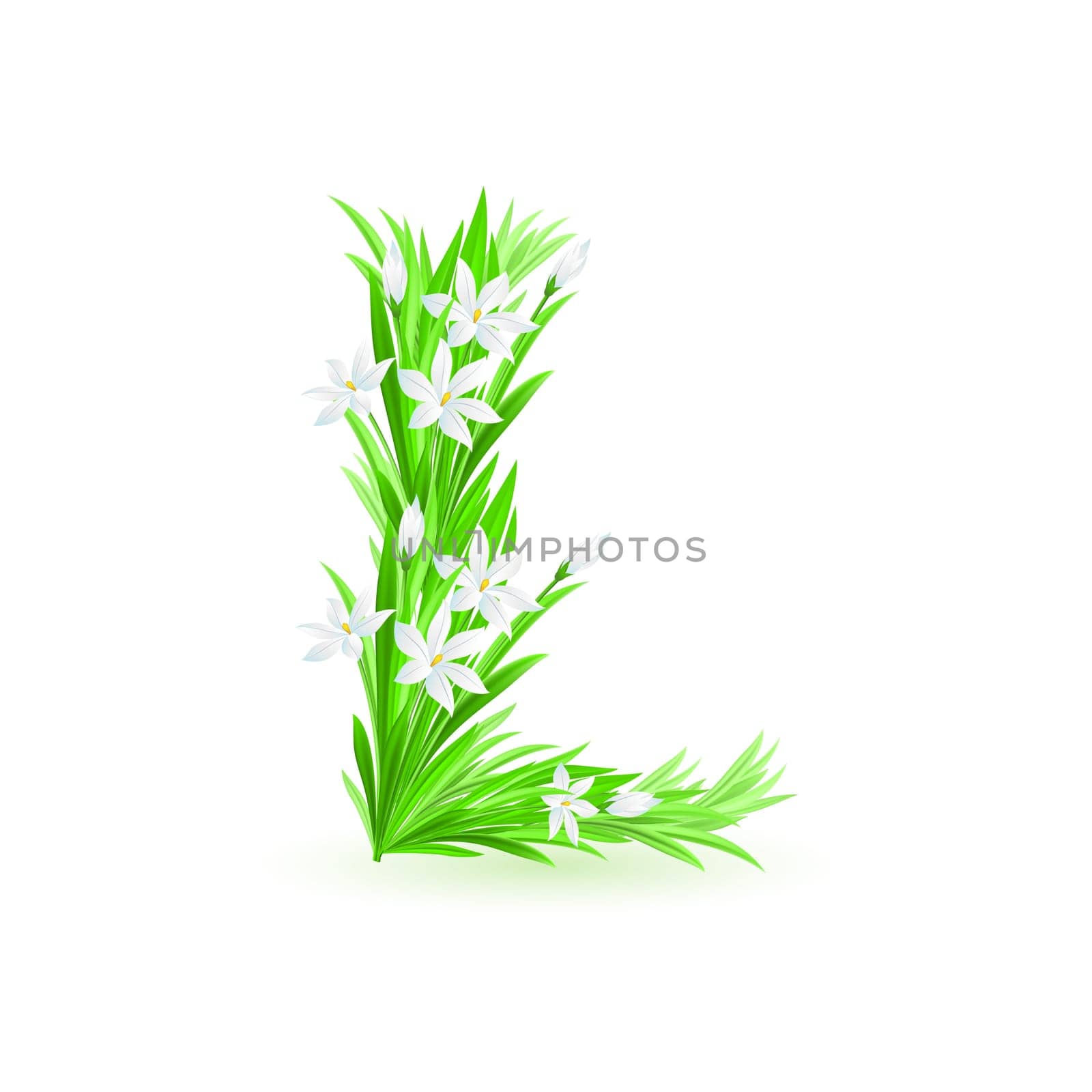 One letter of spring flowers alphabet - L. Illustration on white background