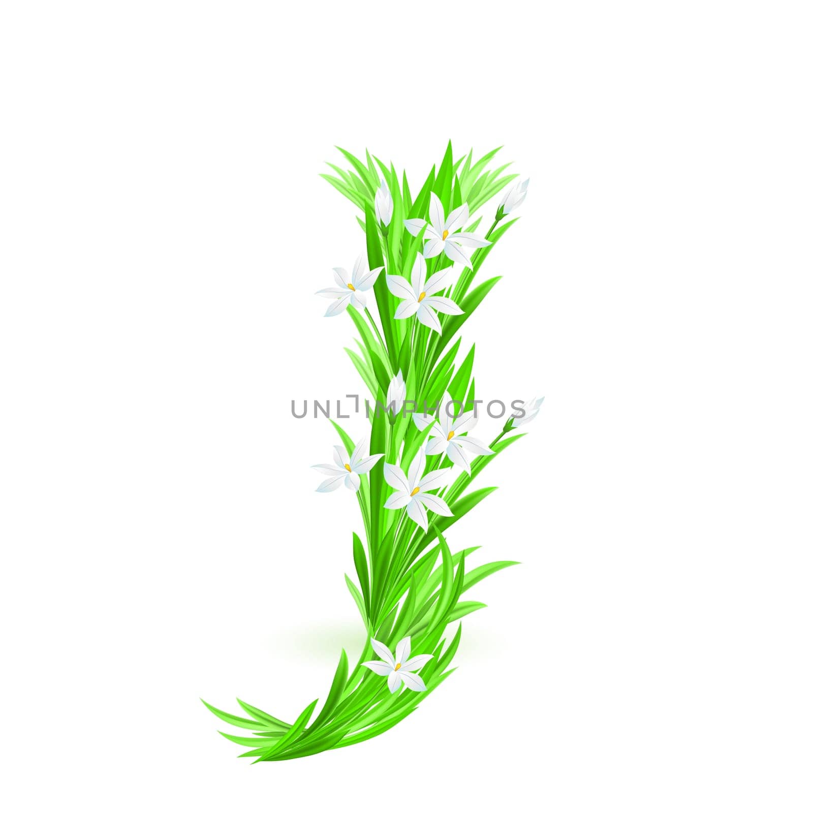 One letter of spring flowers alphabet - J. Illustration on white background