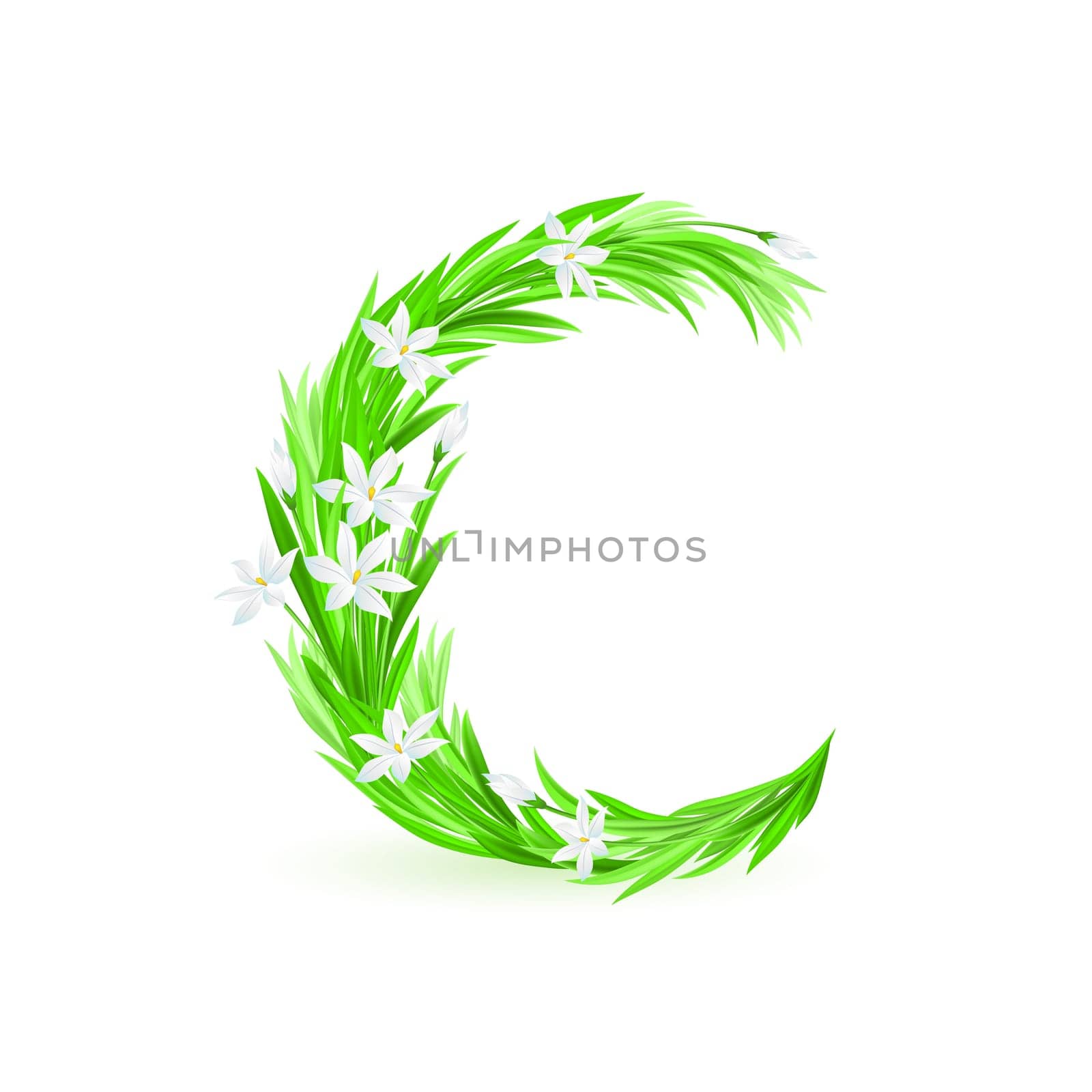 One letter of spring flowers alphabet - C. Illustration on white background
