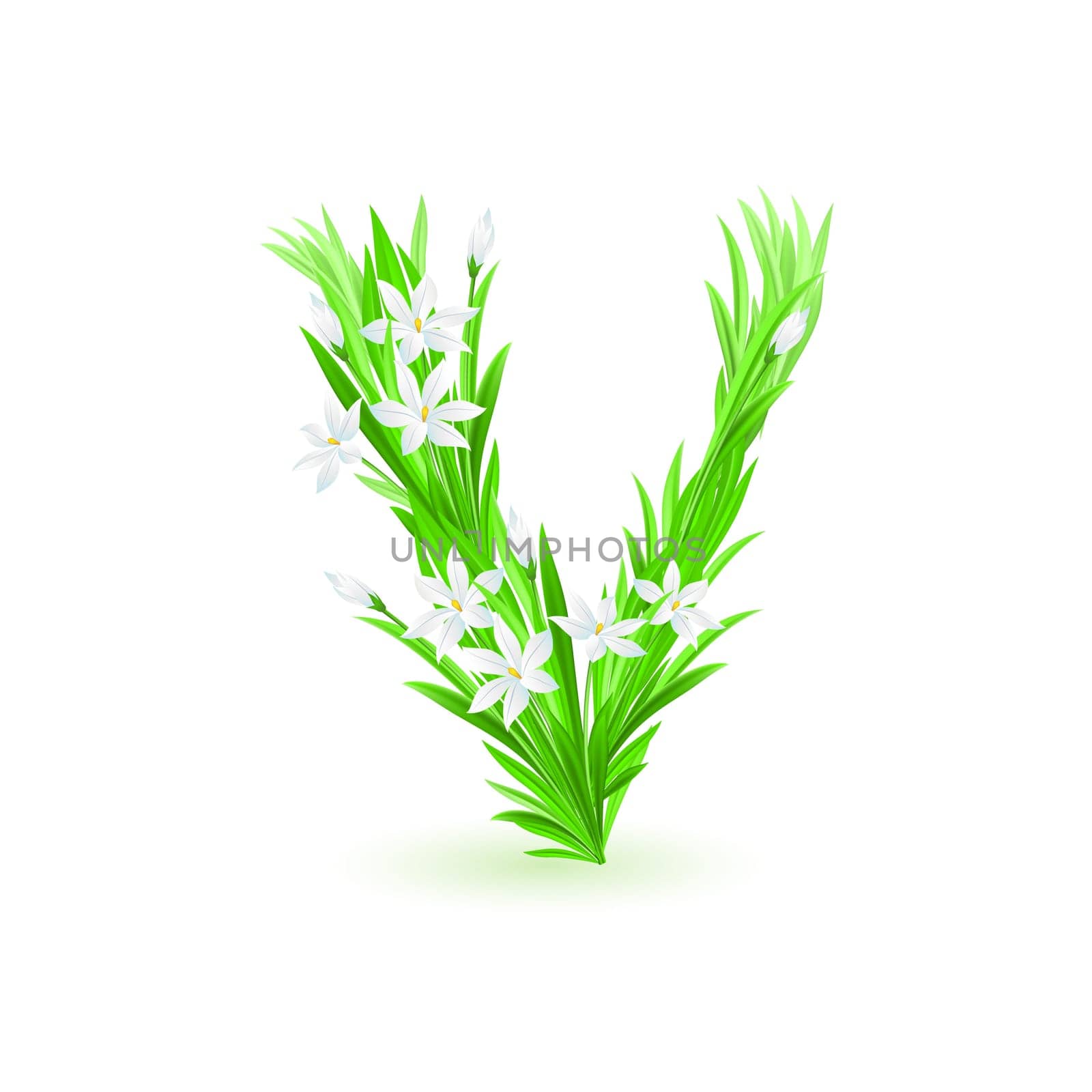 One letter of spring flowers alphabet - V. Illustration on white background