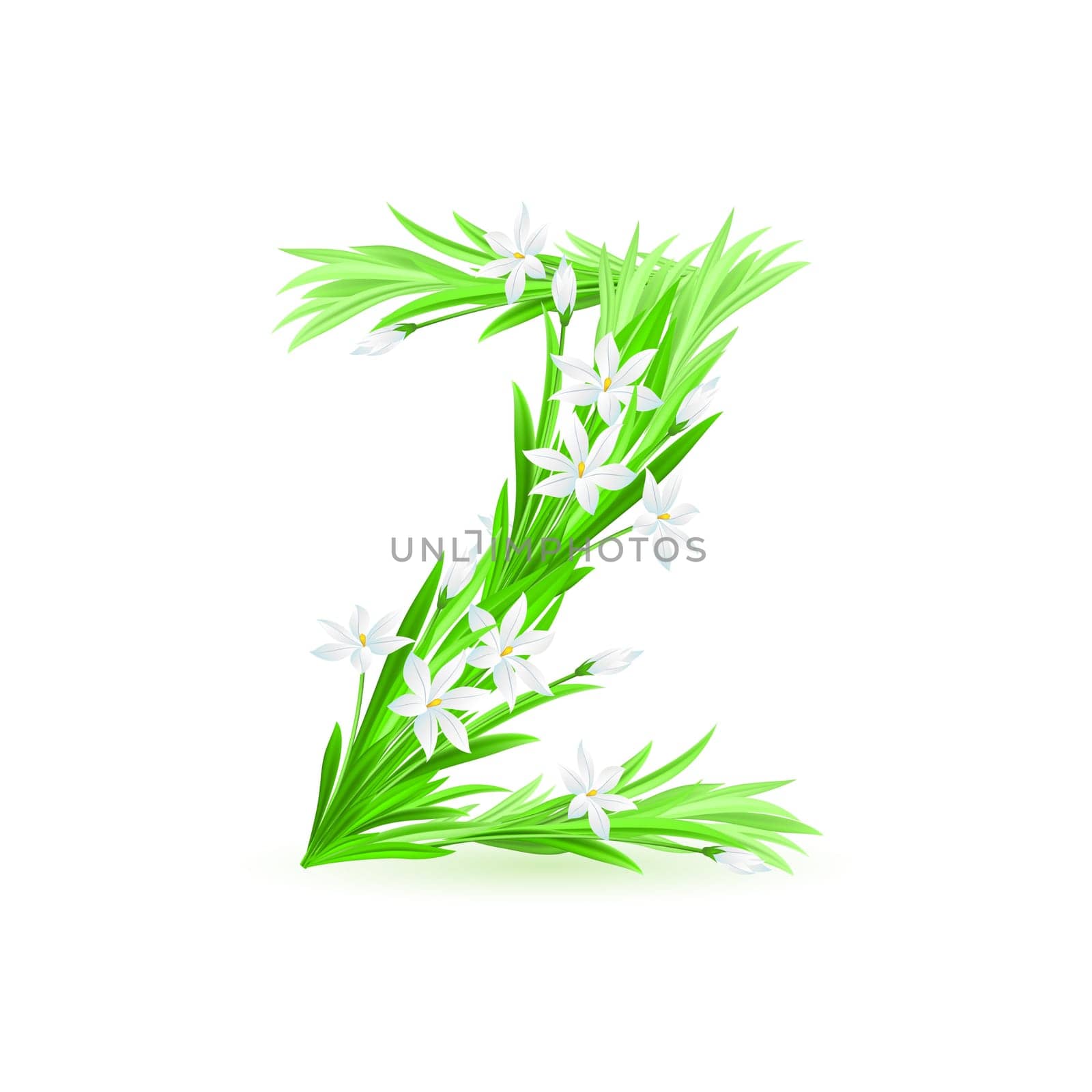 One letter of spring flowers alphabet - Z. Illustration on white background