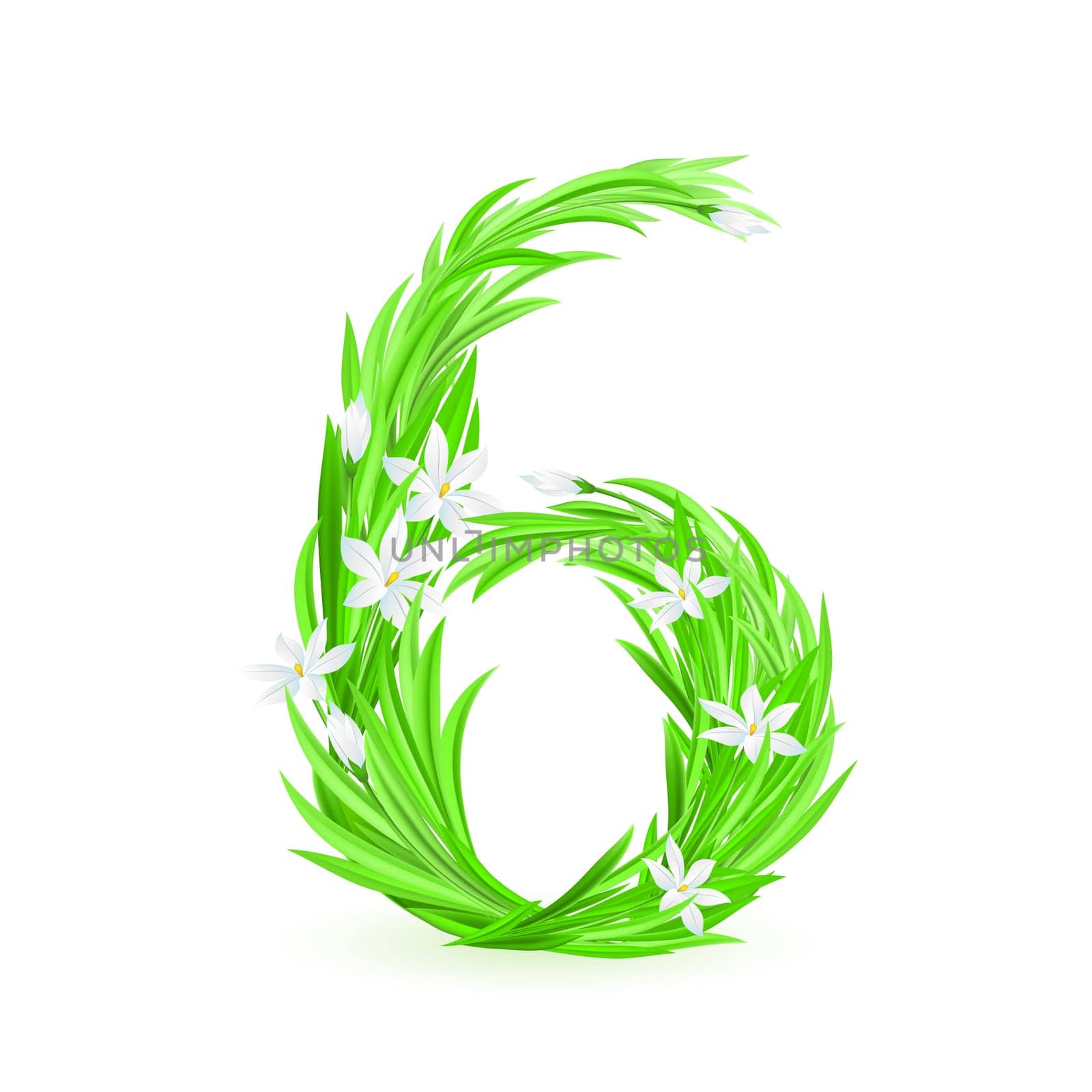 One alphabet symbol of spring flowers  - digit six. Illustration on white background