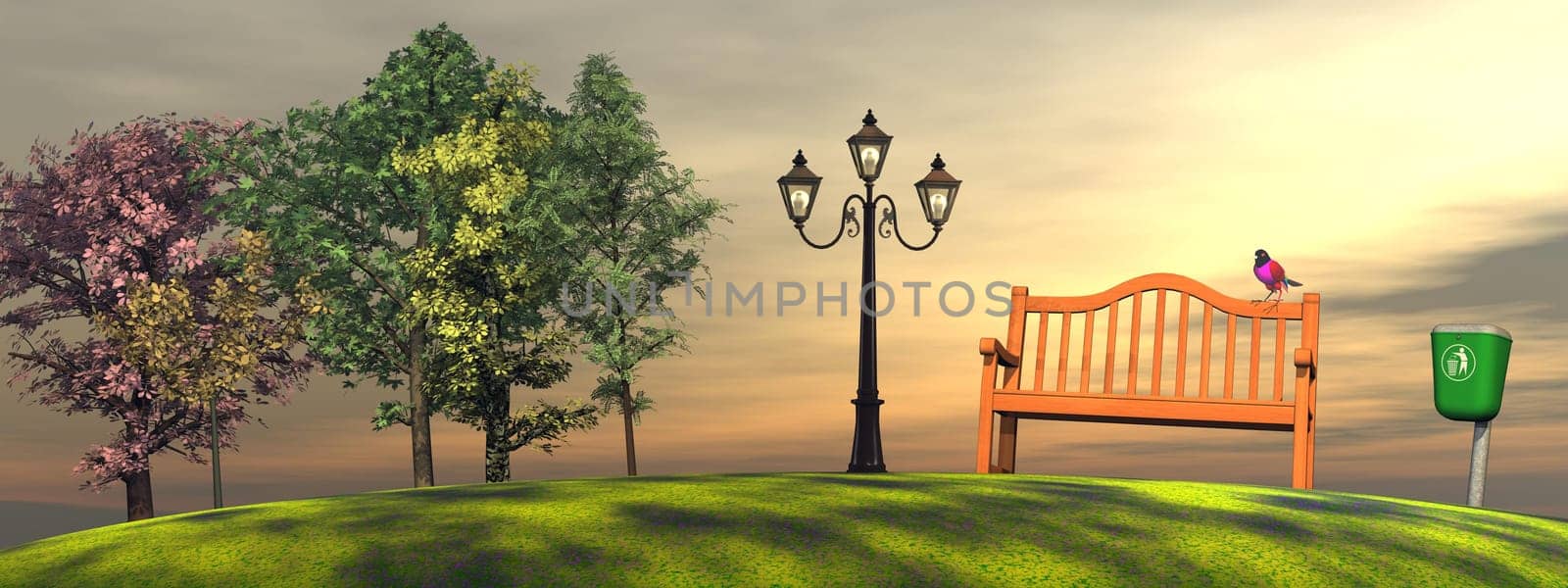 Colorful bird on a wood bench in a park with bin, lamp and trees by sunset