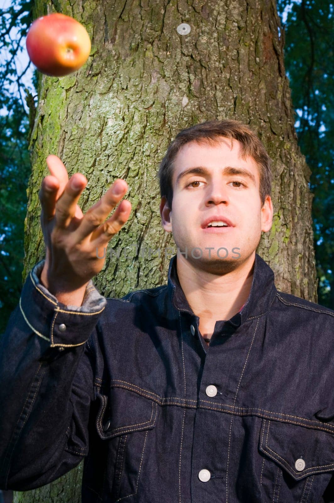 Head and shoulders shot of a young man standing by a tree,throwing up an apple looking at the camera