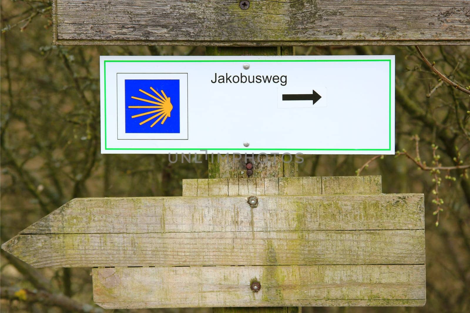 Signposts on the Way of St. James