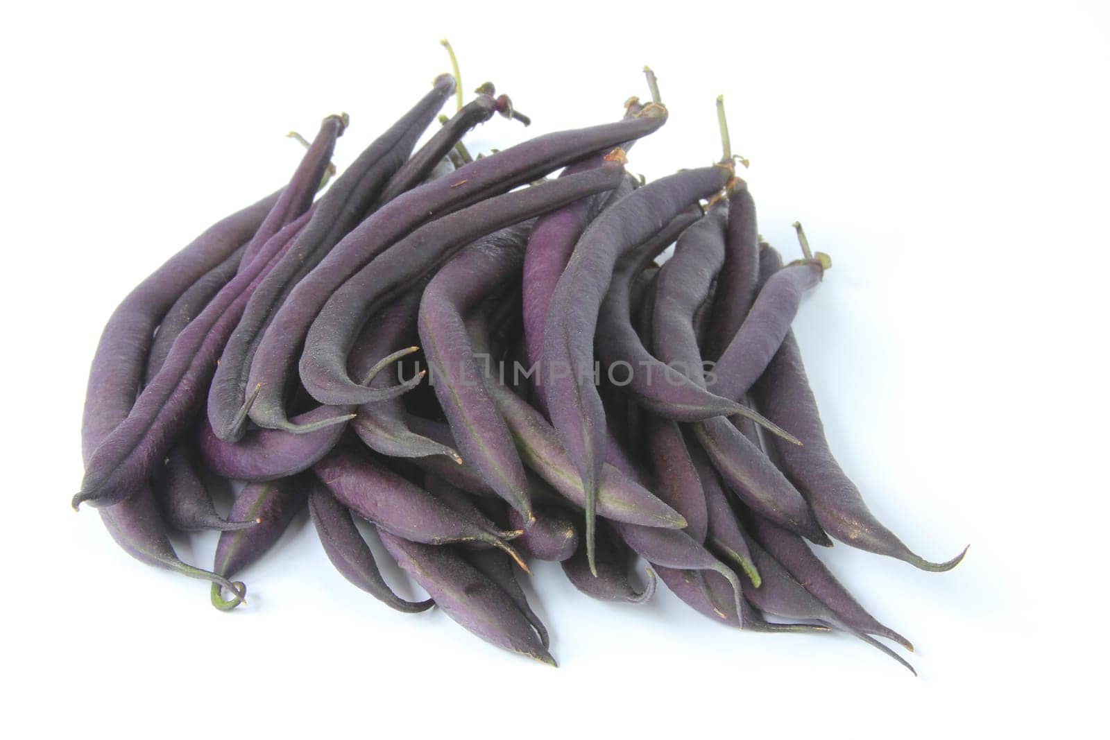 blue garden beans