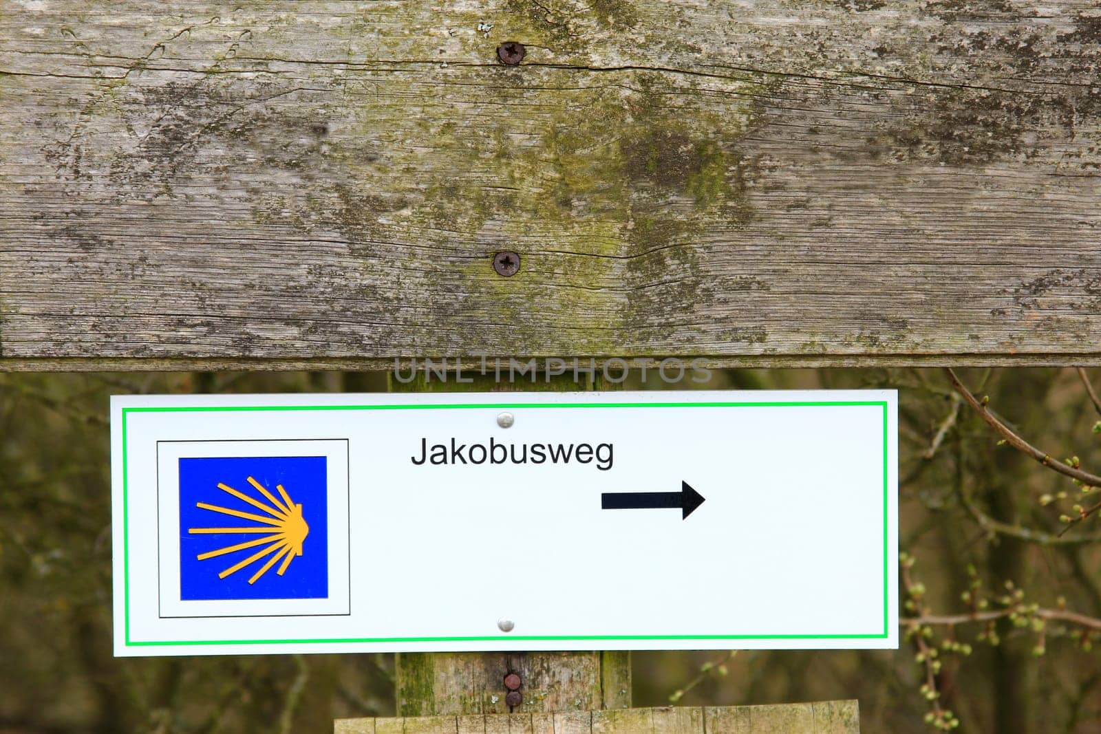 Signposts on the Way of St. James