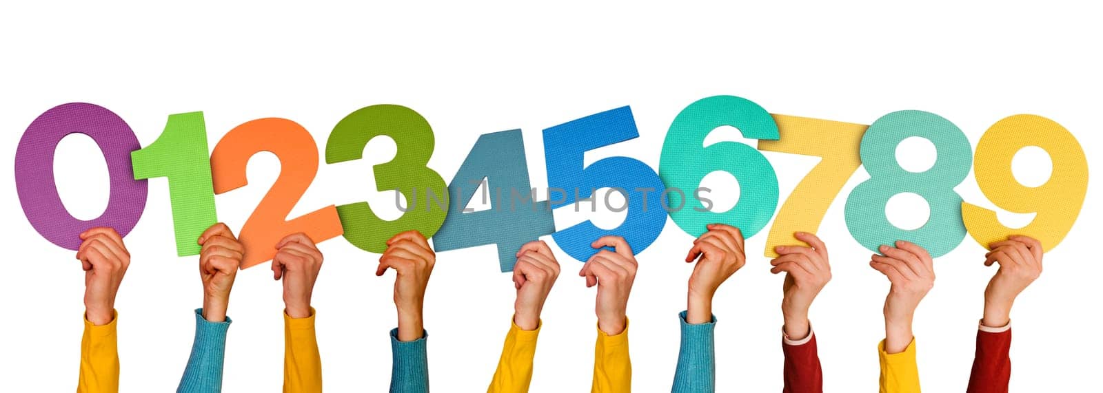 hands with different numbers, isolated on white background
