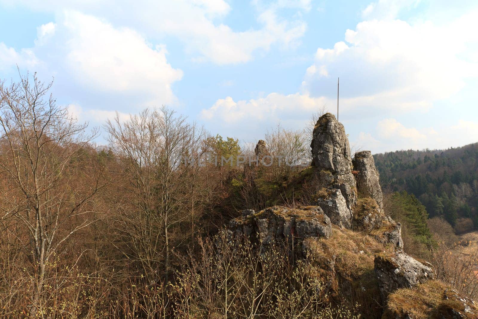 Wolfsberg Castle Ruins