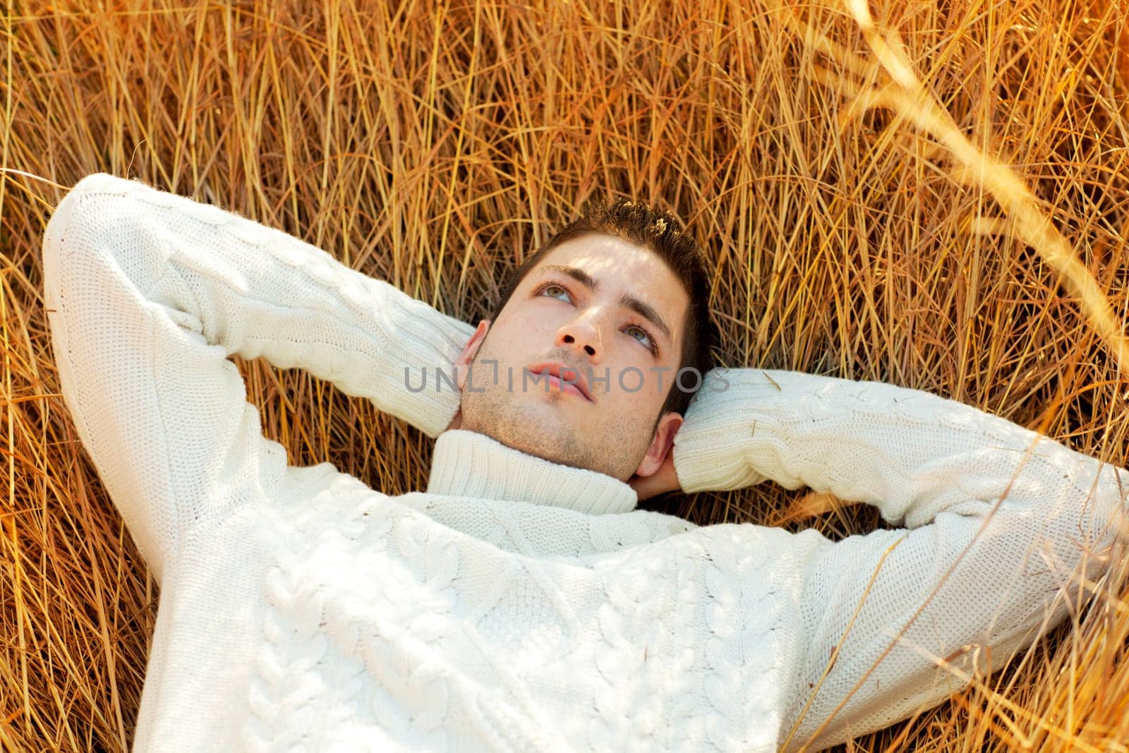 Autumn winter man portrait lying in golden grass field with turtleneck sweater