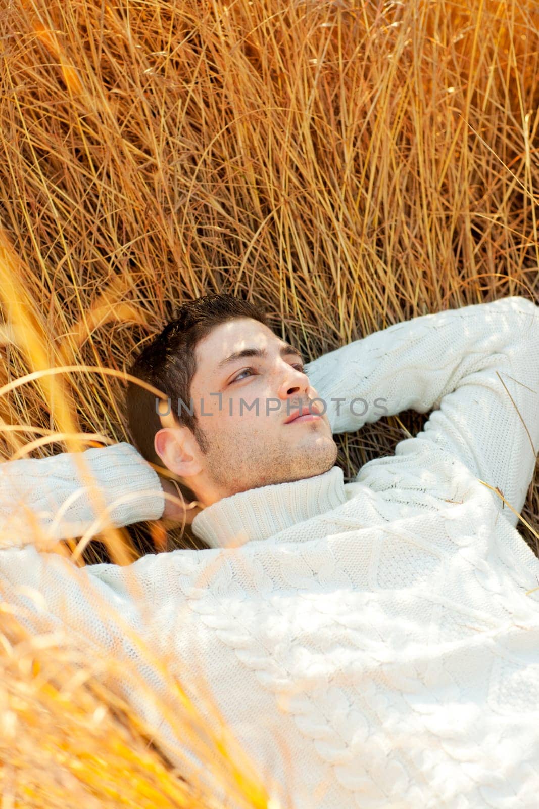 Autumn winter man portrait lying in golden grass field with turtleneck sweater