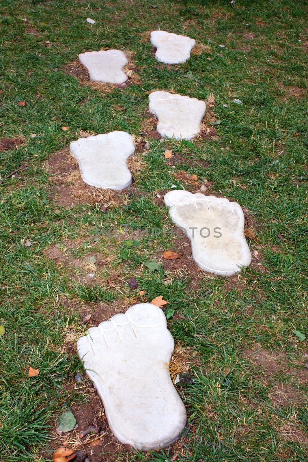 big traces of foots in green grass
