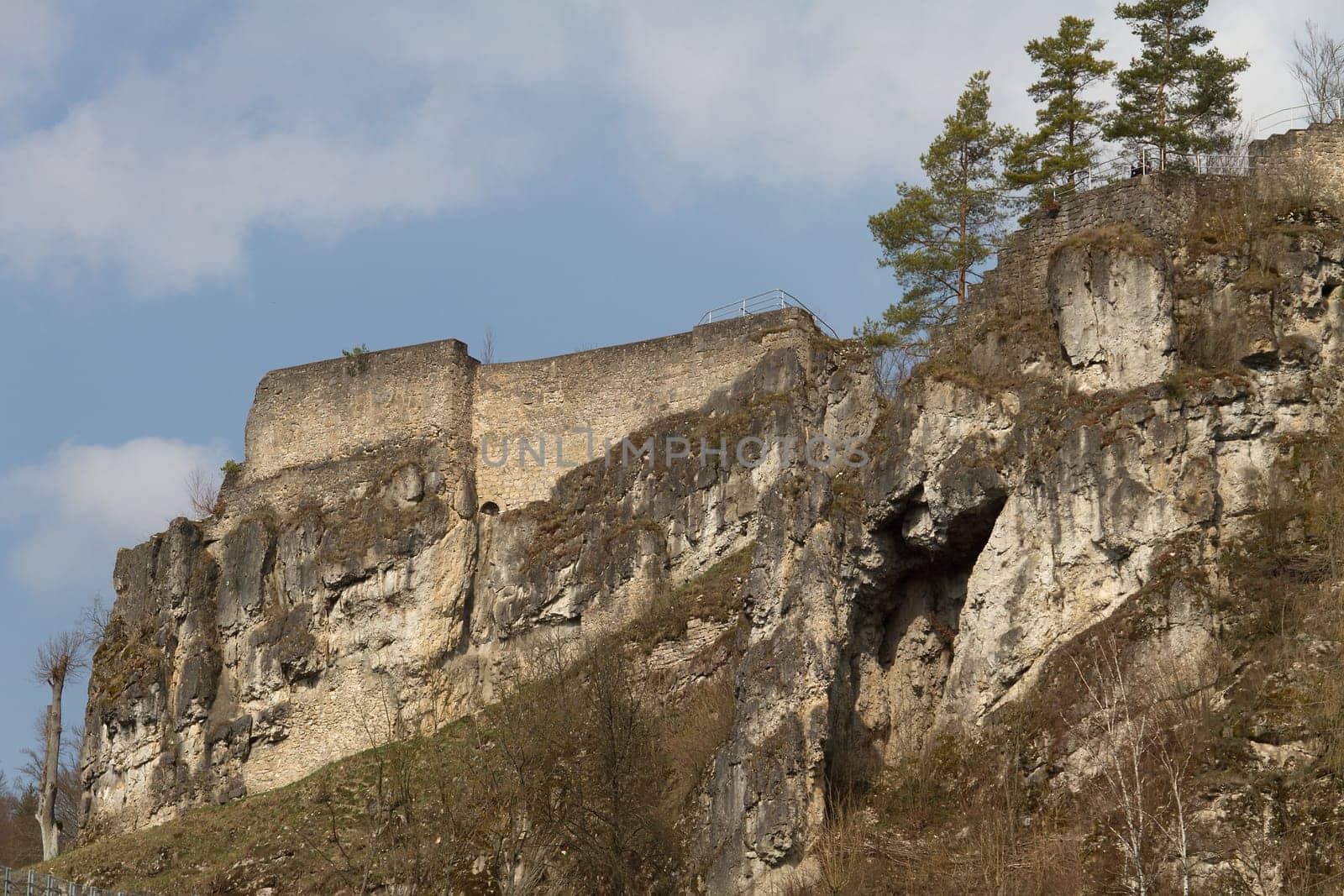 Wolfsberg Castle Ruins
