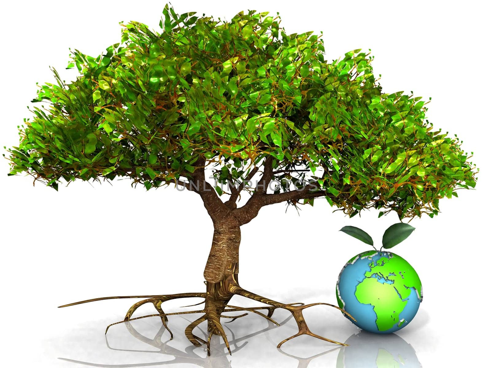tree and earth