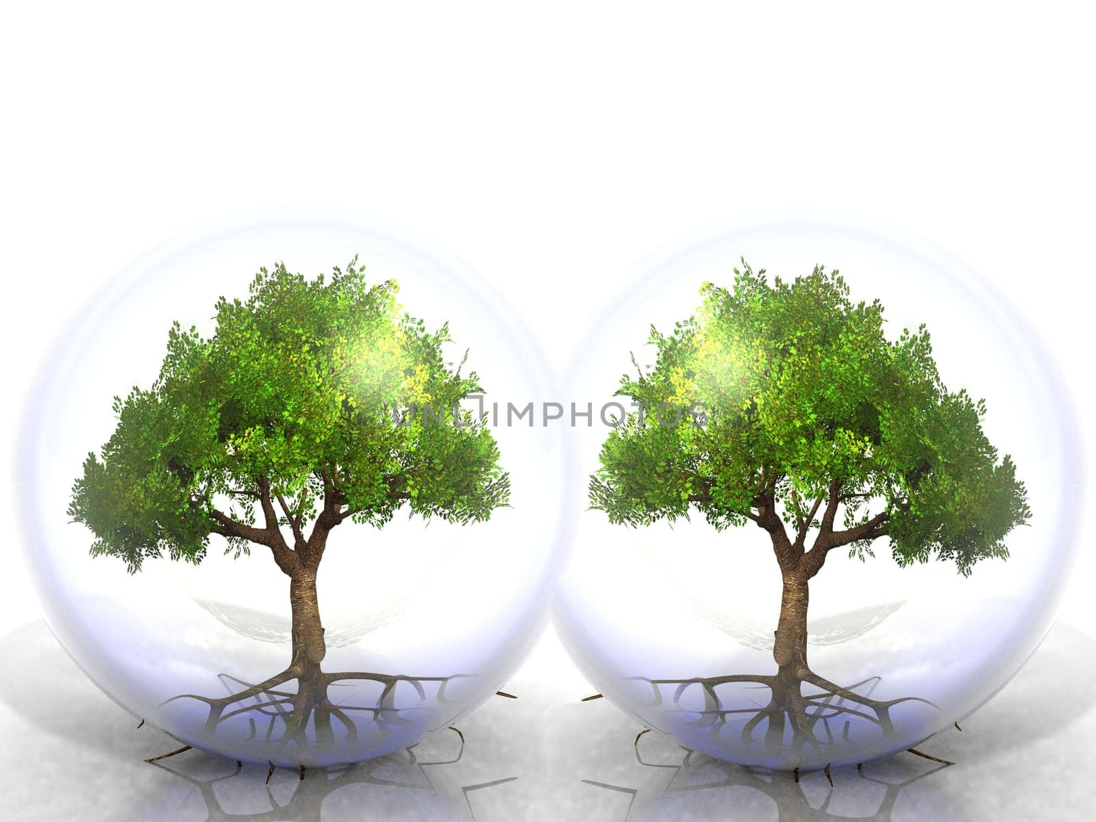 green tree in a transparent bubble