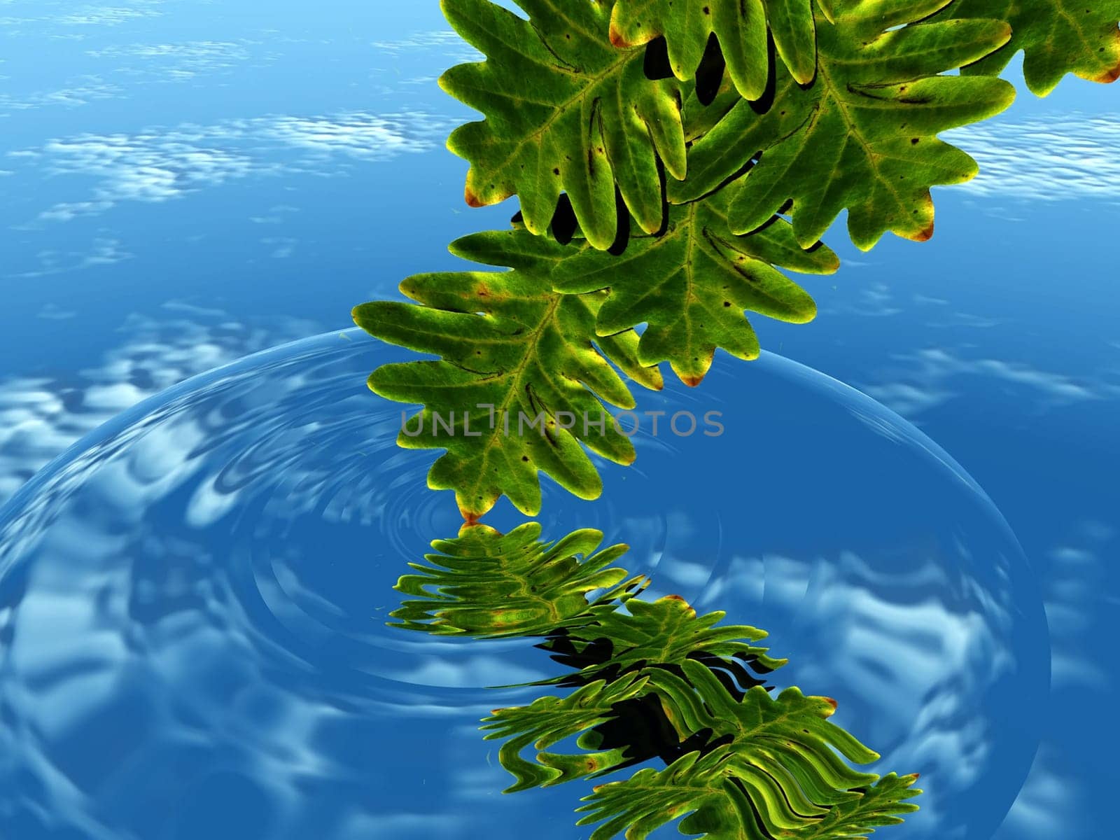 leaf and water