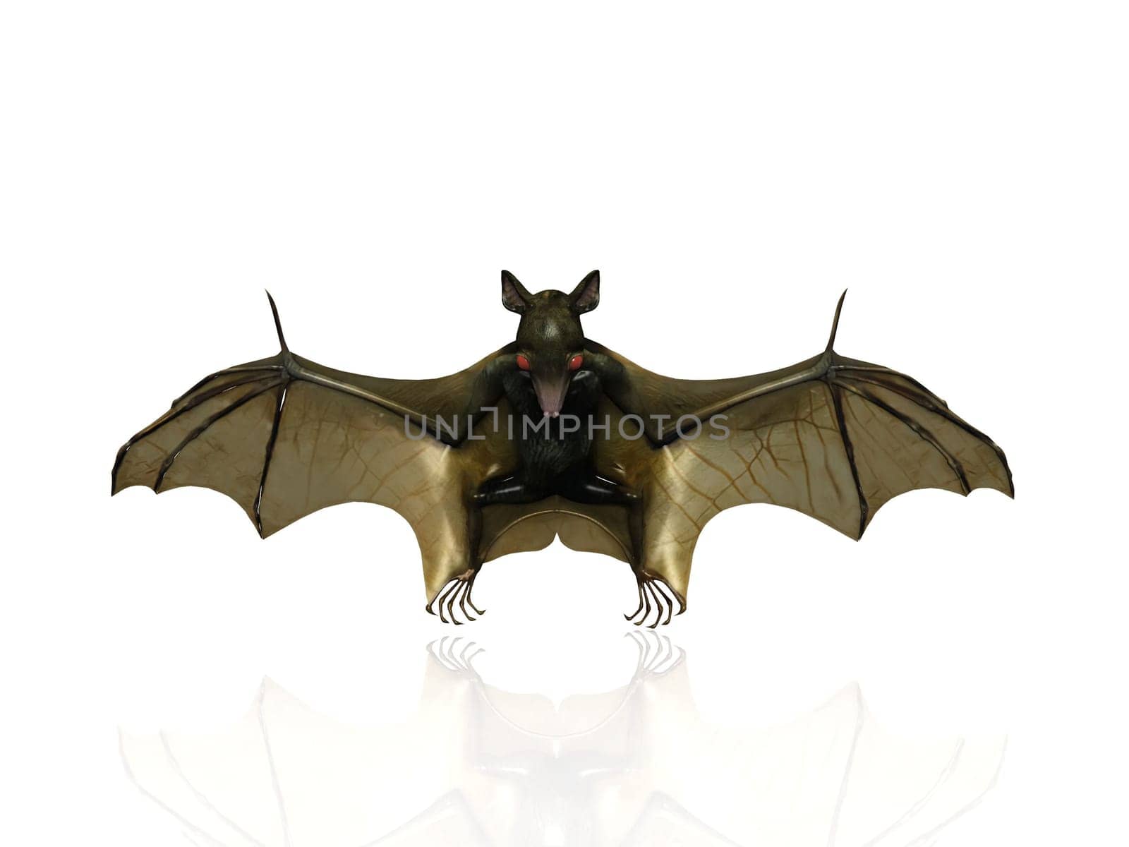 the bat on a white background