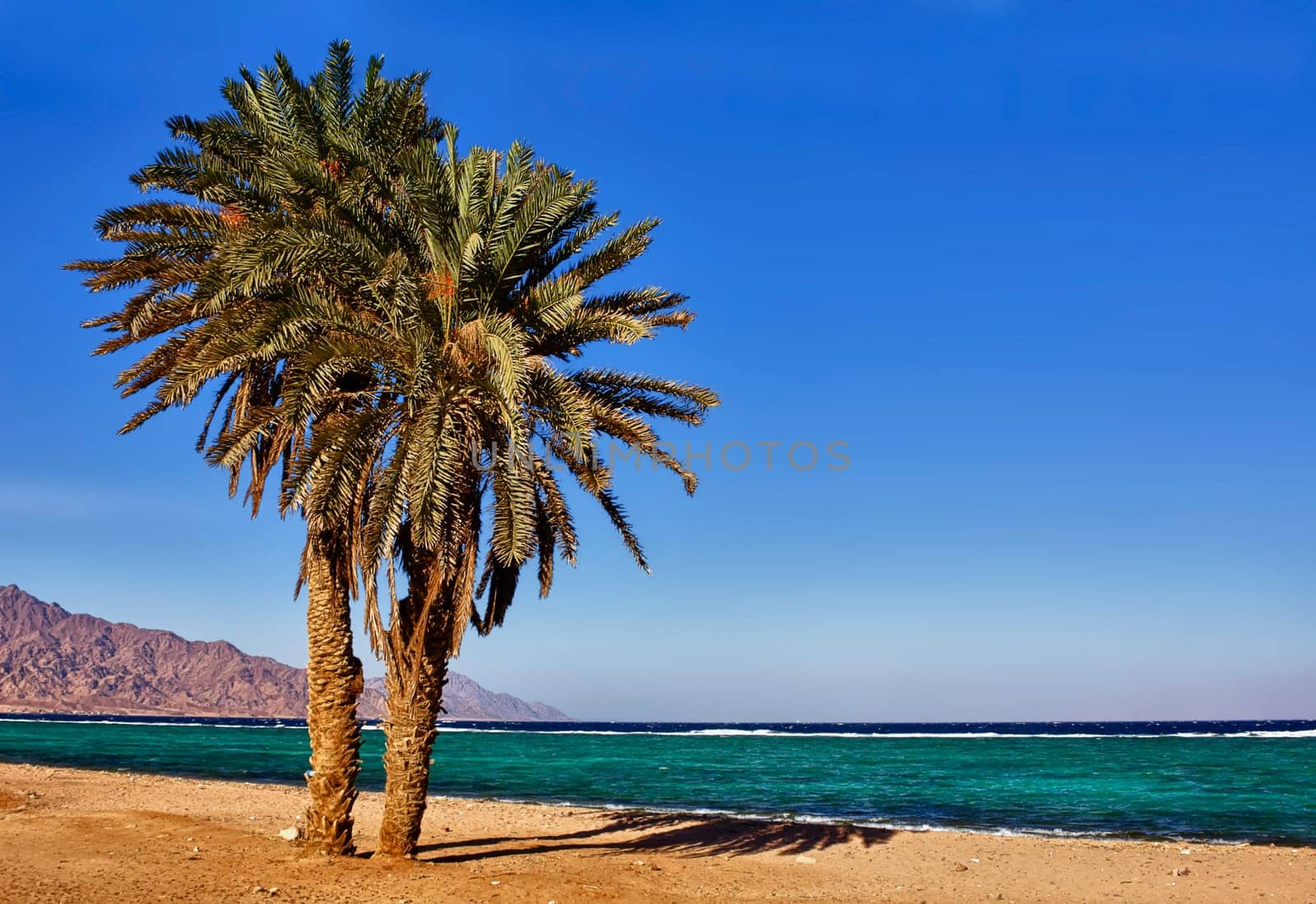 LONGING FOR SUN AND BLUE SKIES