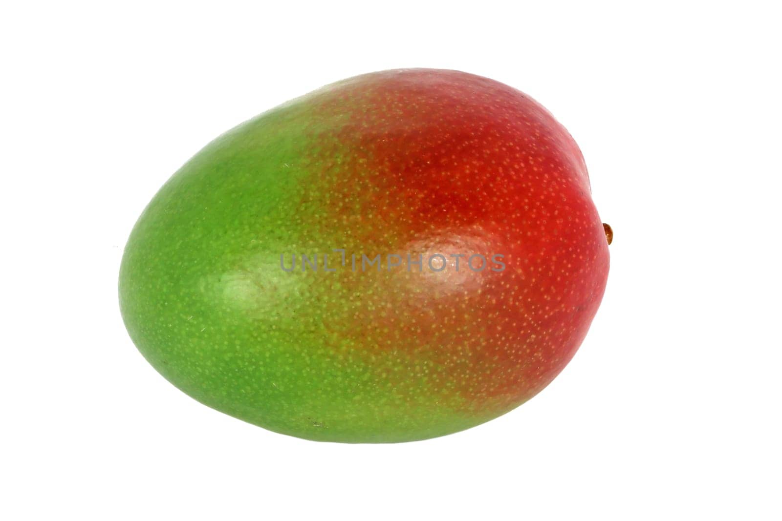 Mango tropical fruit isolated on white background