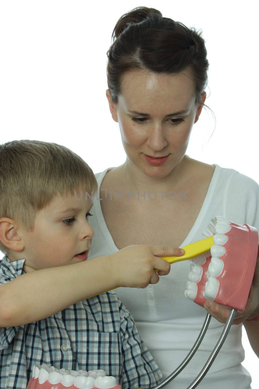 Dental Screening for Toddlers