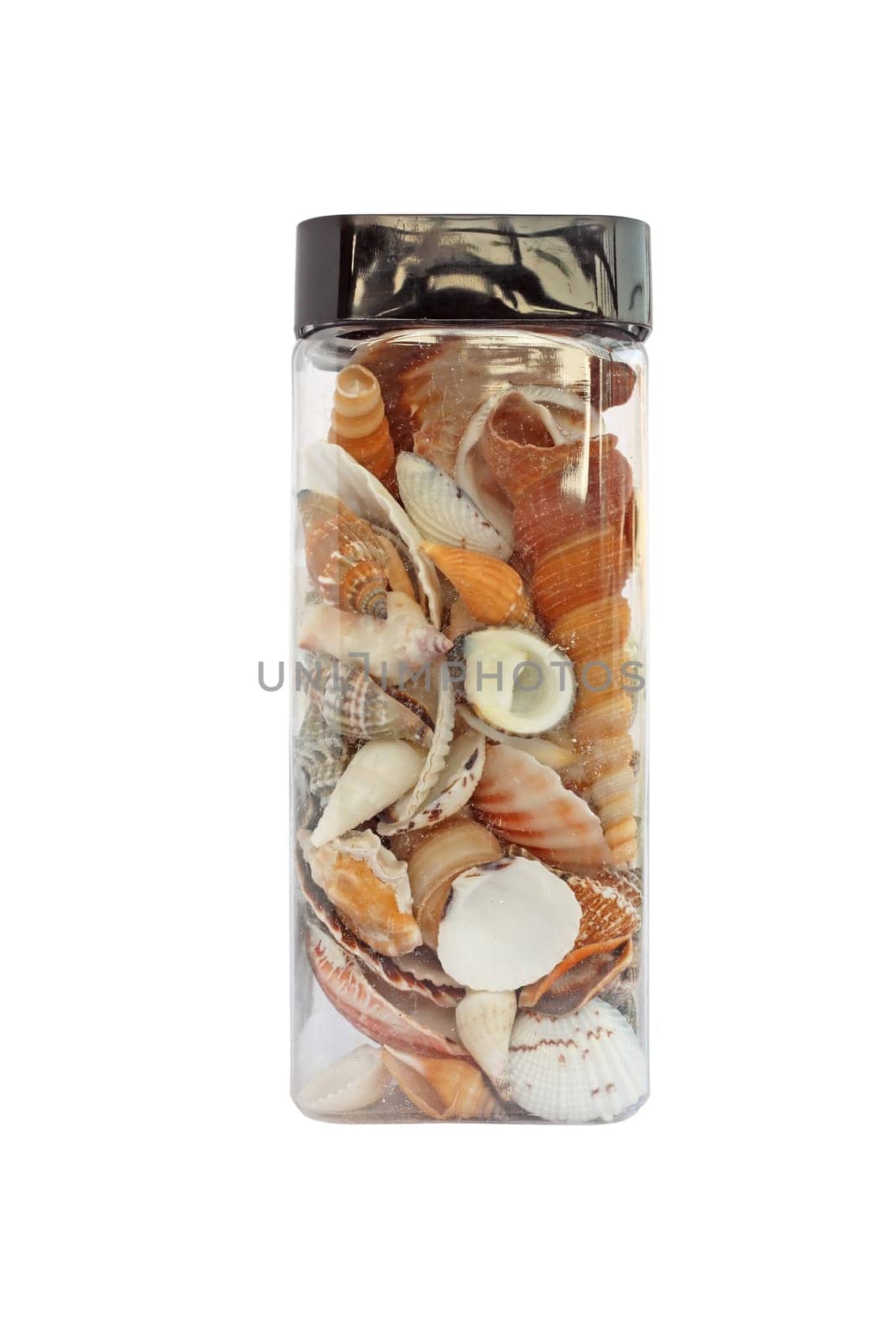 Heap of seashells in plastic jar isolated on a white