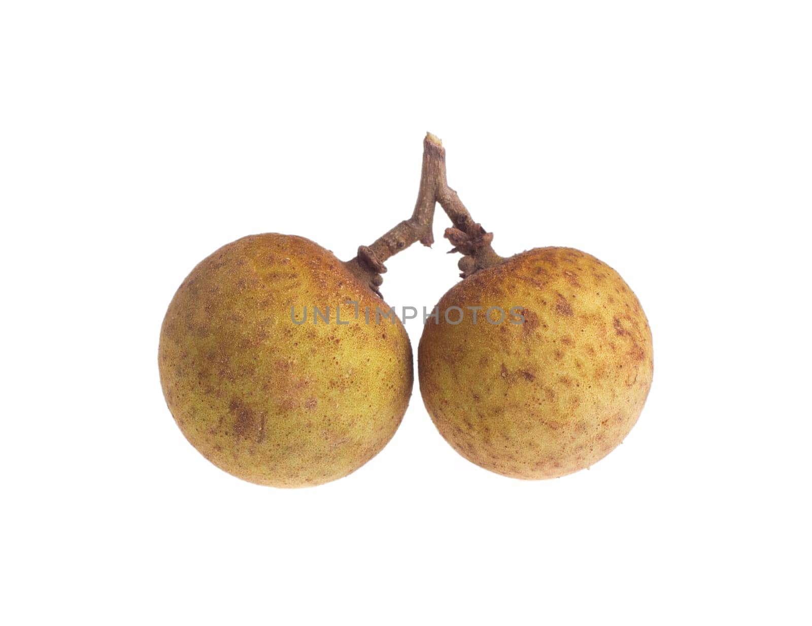 longan isolated on a white background