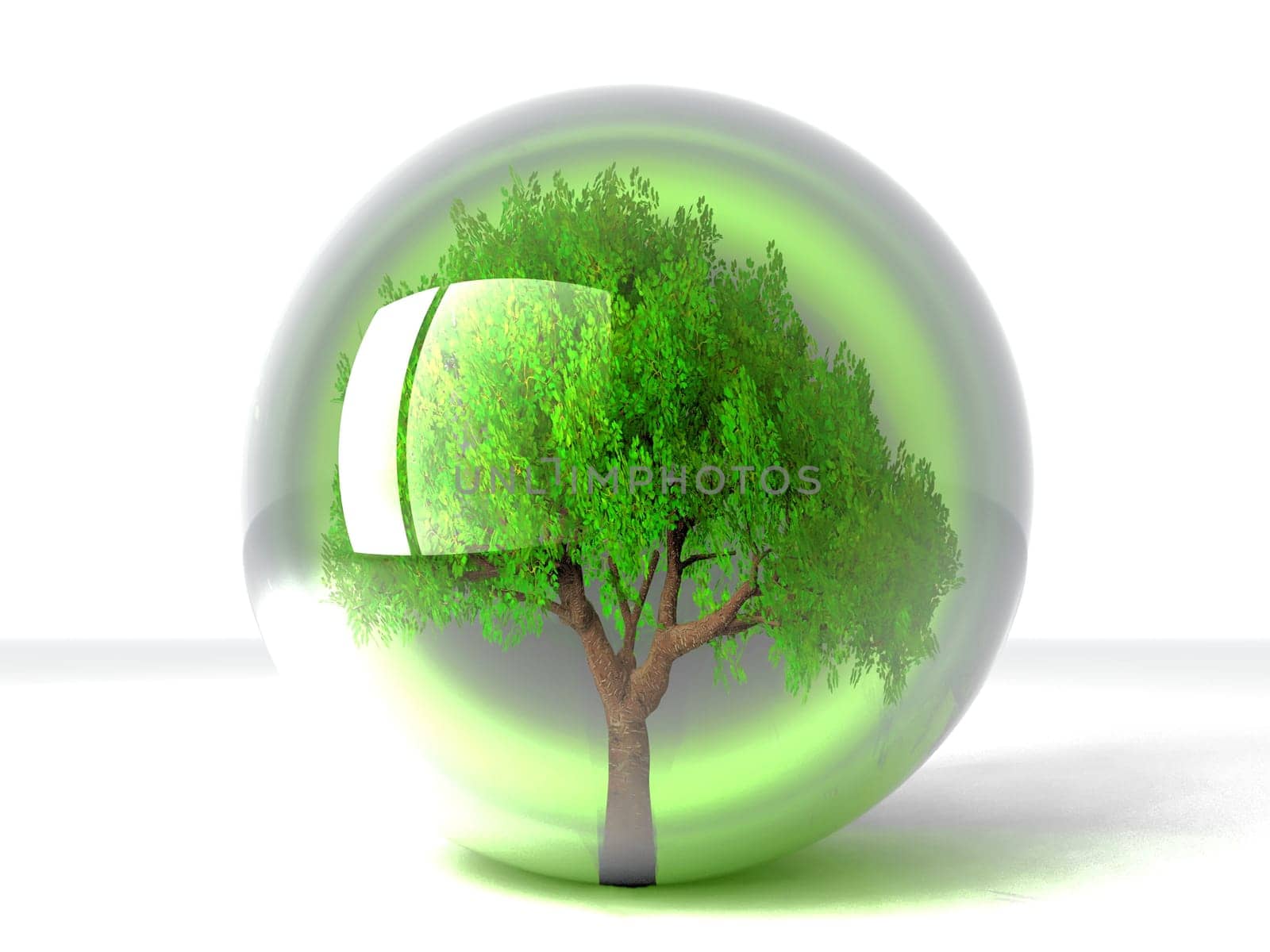 a green tree in a transparent bubble
