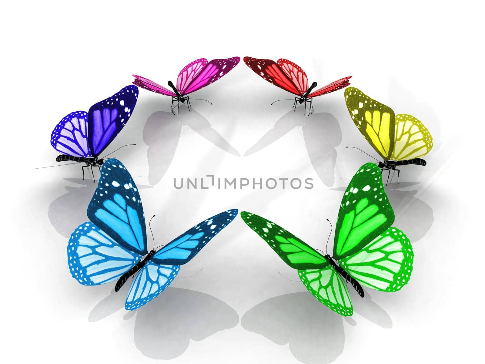 the beautiful butterfly with wings