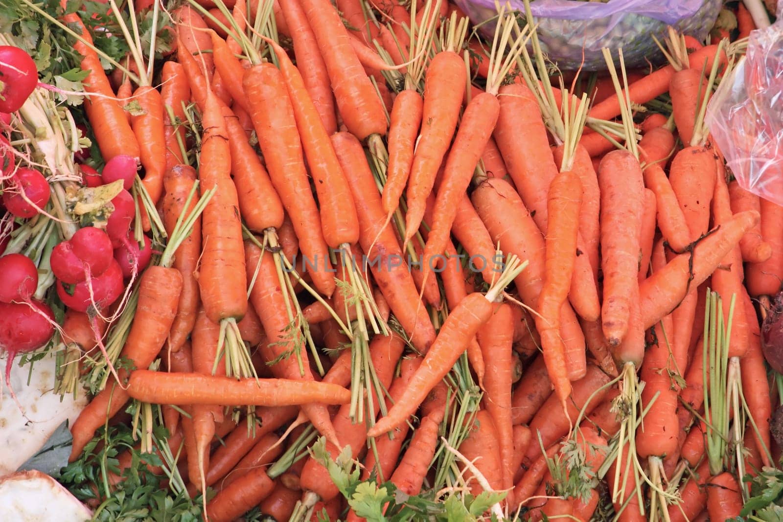 Fresh raw carrots vegetables at the market