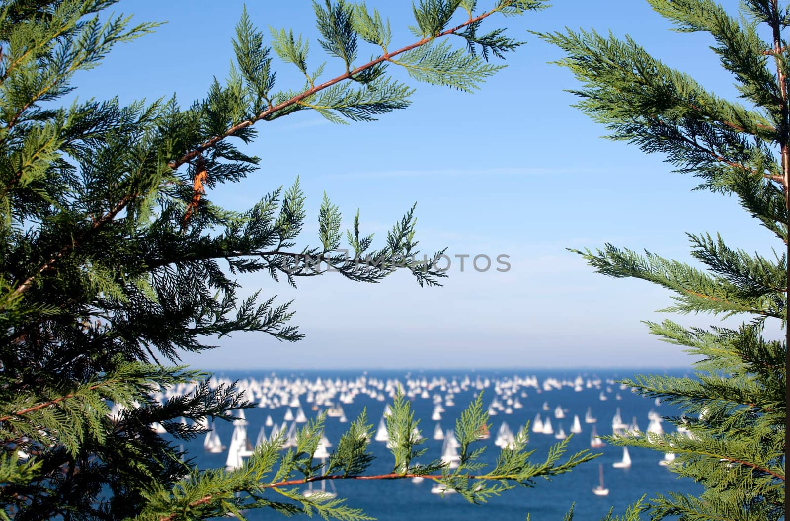 Barcolana 2010, The Trieste regatta  - Italy