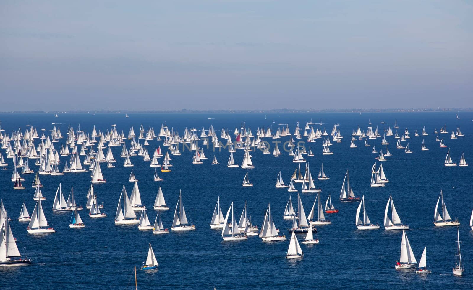 Barcolana 2010, The Trieste regatta  - Italy