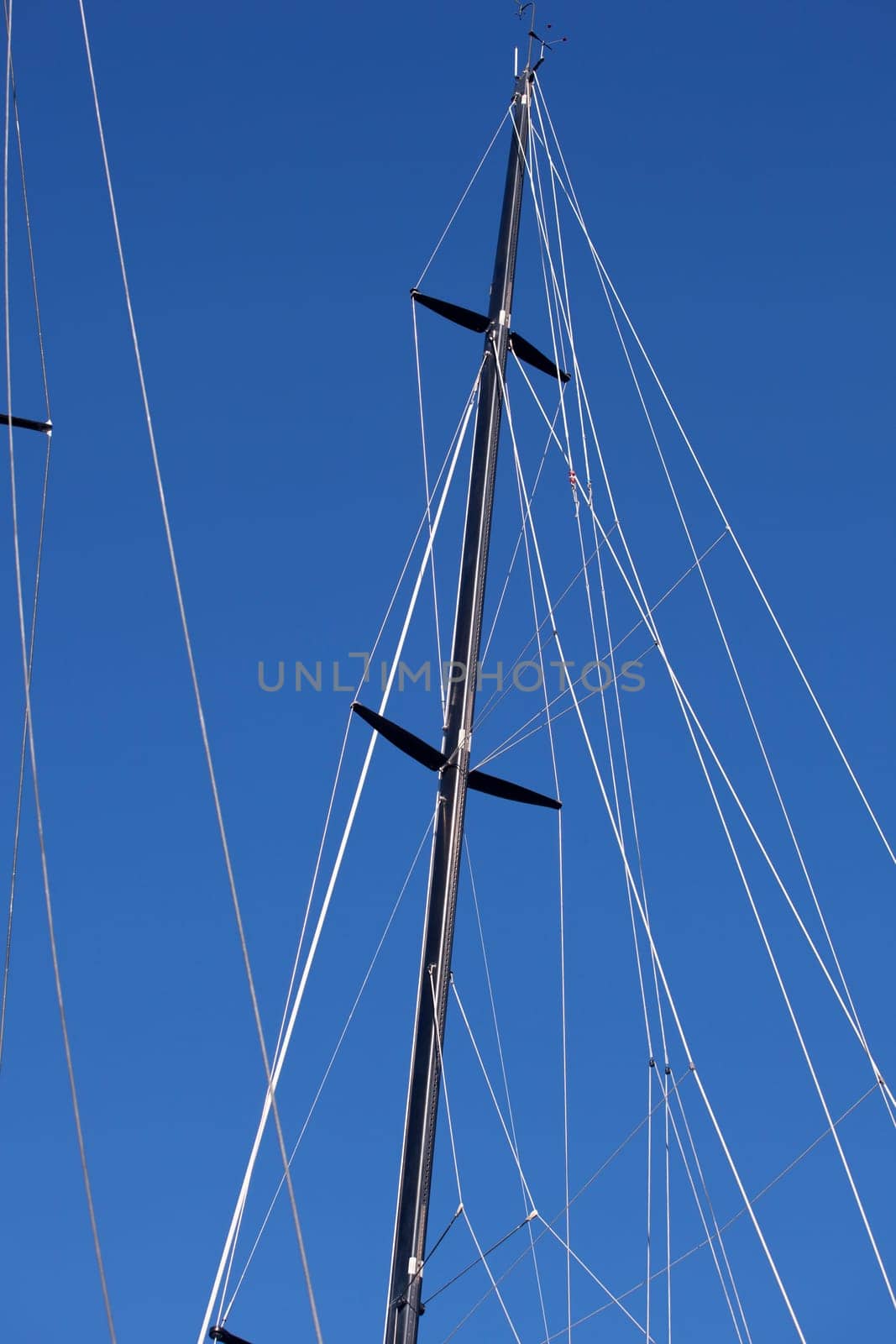Tree of a boat, Barcolana 2010, The Trieste regatta  - Italy