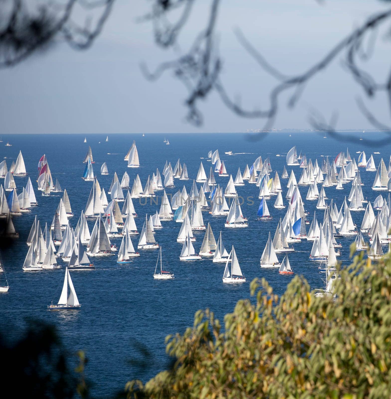 Barcolana 2010, The Trieste regatta  - Italy