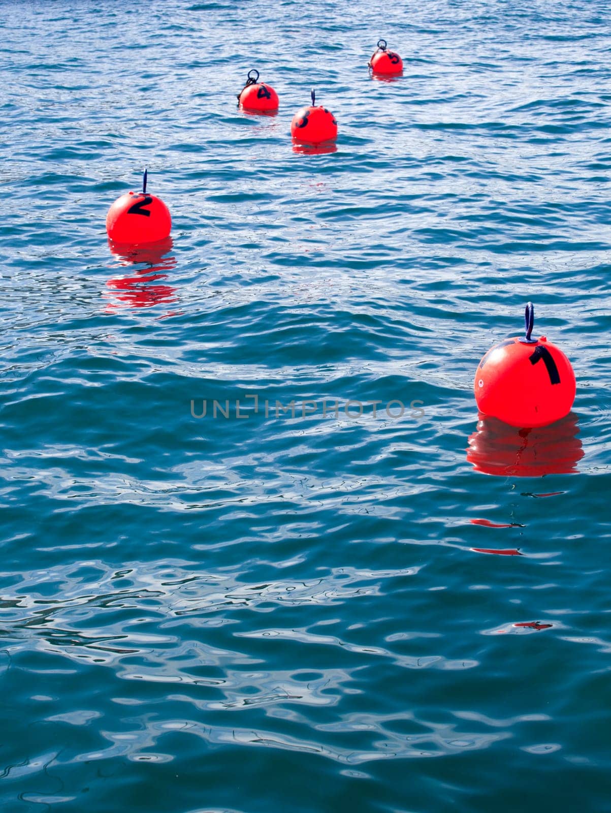 Buoy numbered on the sea