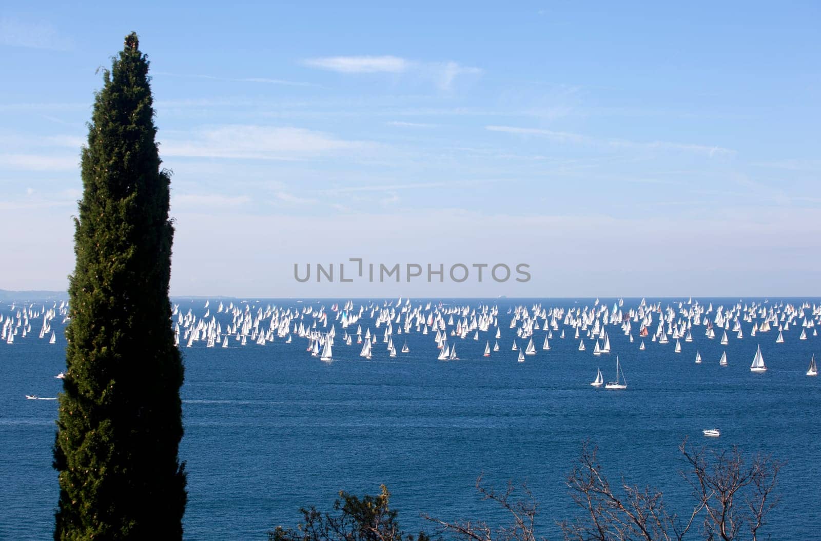 Barcolana 2010, The Trieste regatta  - Italy