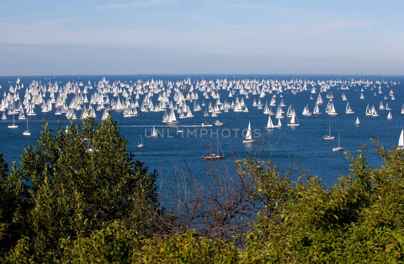 Barcolana 2010, The Trieste regatta  - Italy
