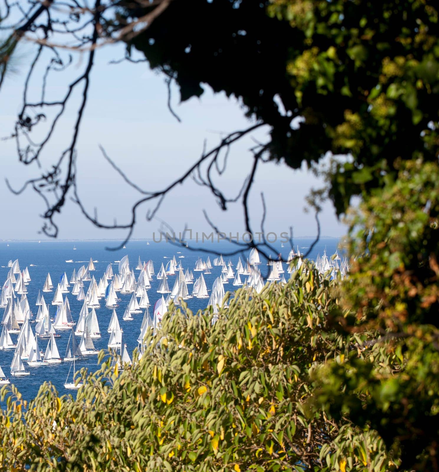 Barcolana 2010, The Trieste regatta  - Italy