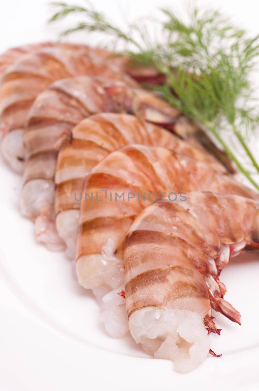 Six raw shrimps with dill on a plate