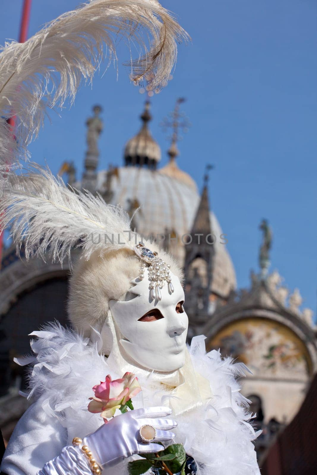 Mask in the Venice carnival