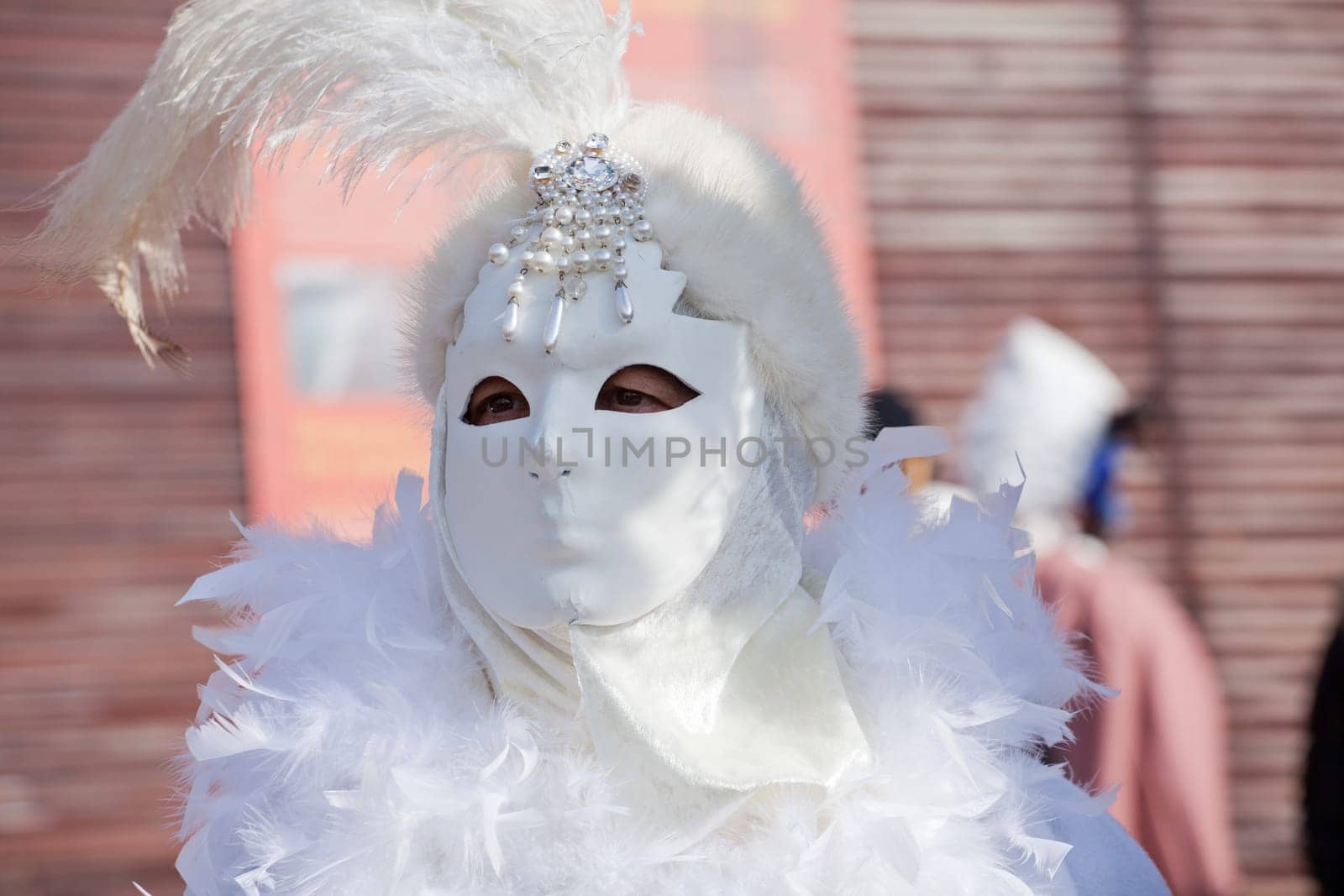 Mask in the Venice carnival