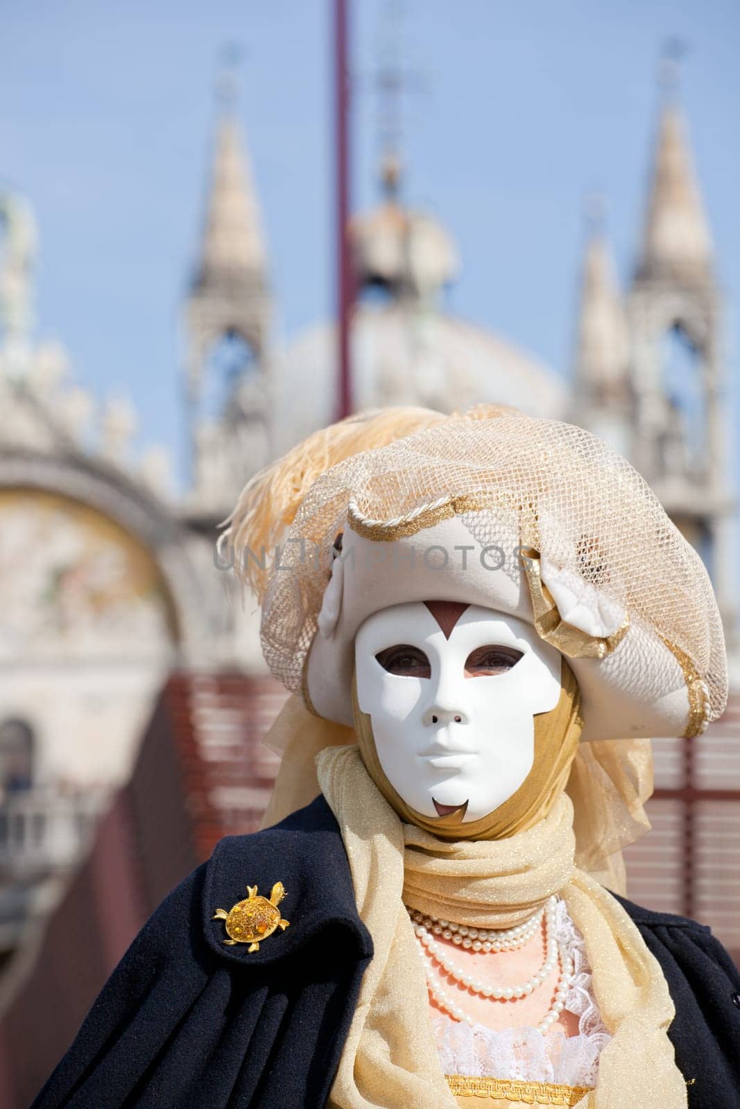 Mask in the Venice carnival