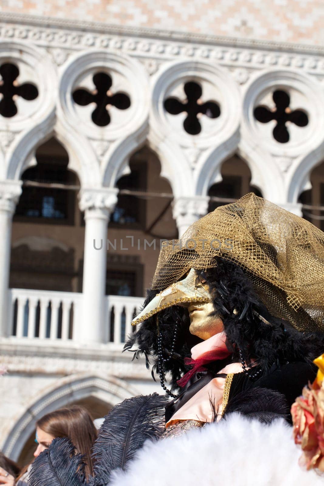 Mask in the Venice carnival
