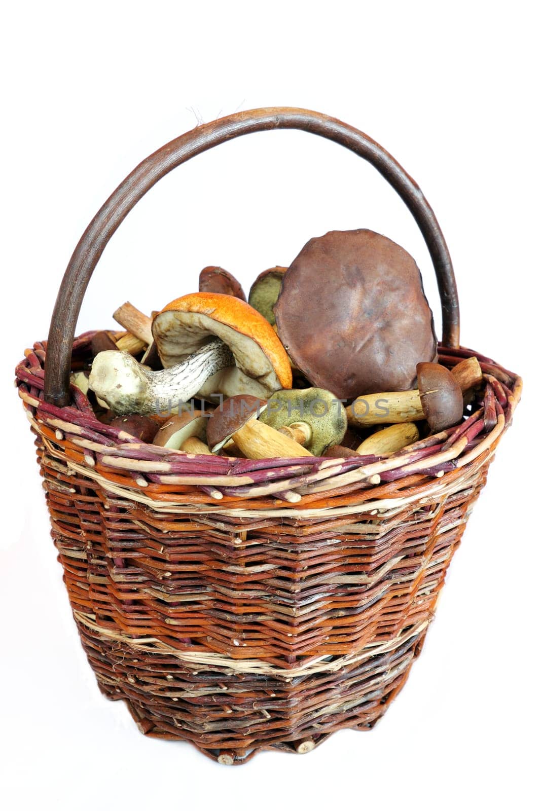 mushrooms in basket on white backgrounds